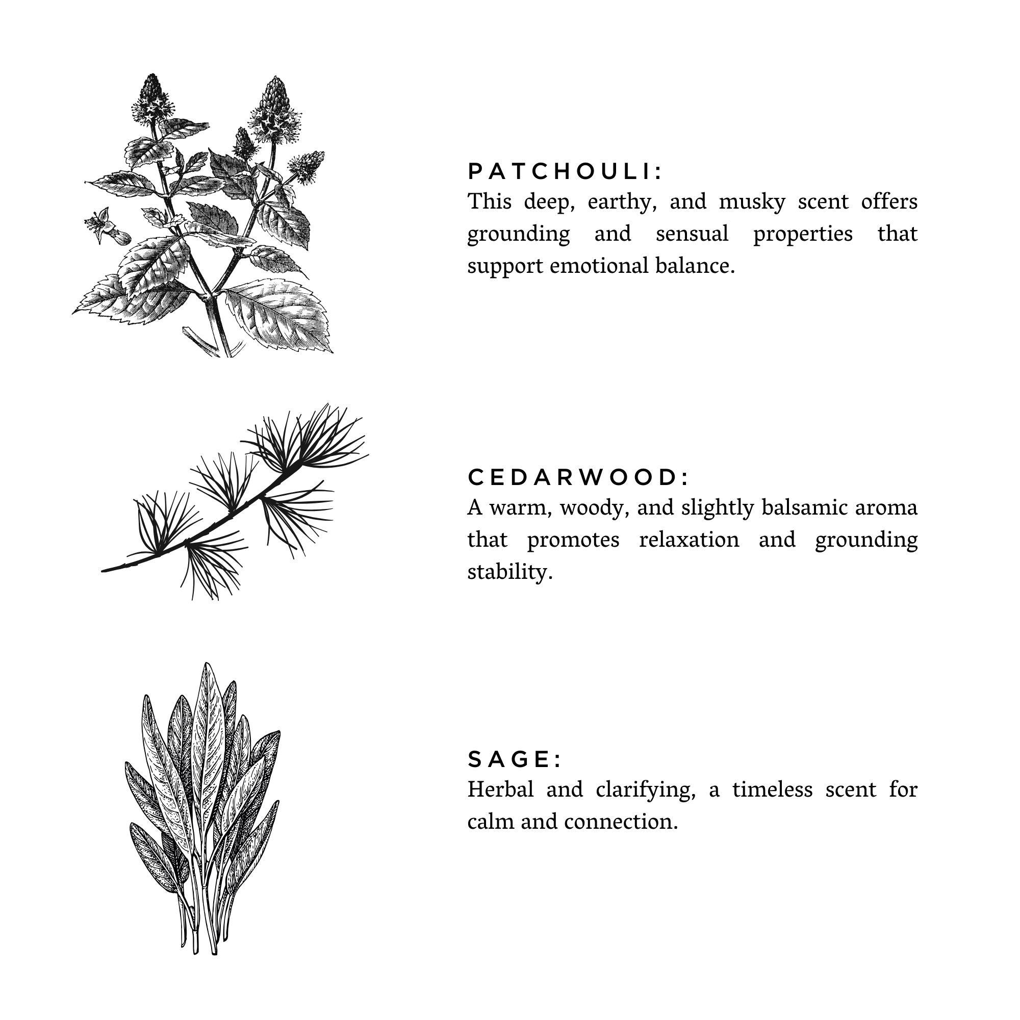 Decade of Light - Limited Batch (Sage + Cedarwood + Patchouli)